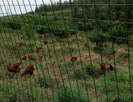 1553615297455362.jpg 360截圖20190326234758400.jpg